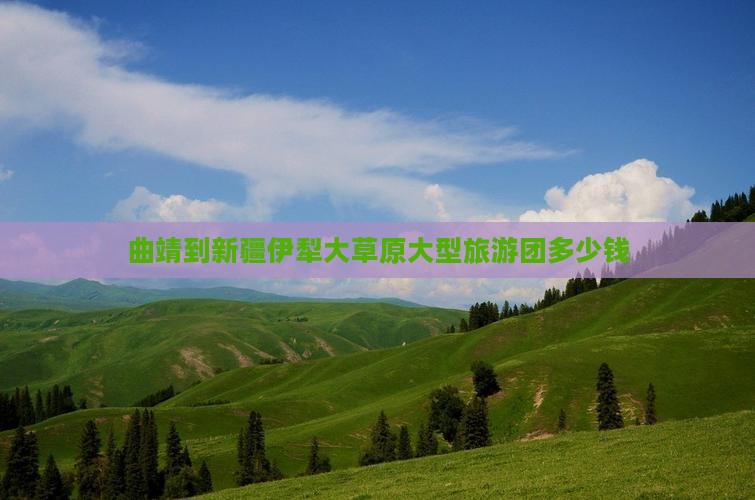 曲靖到新疆伊犁大草原大型旅游团
