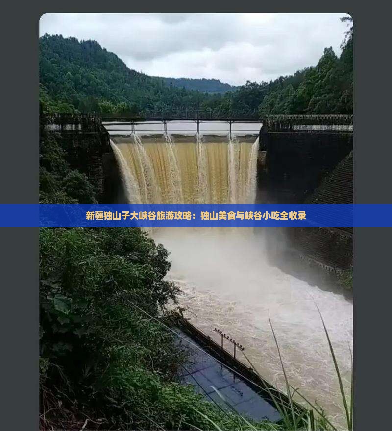 雅安到新疆独山子大峡谷旅游小吃
