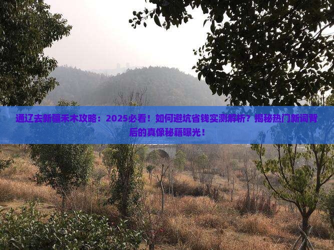 通辽去新疆禾木攻略