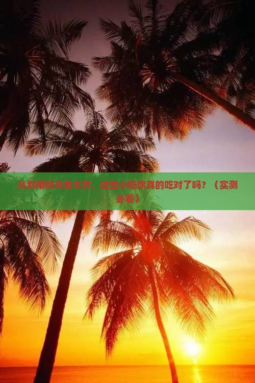 黔南去新疆乌鲁木齐旅游小吃