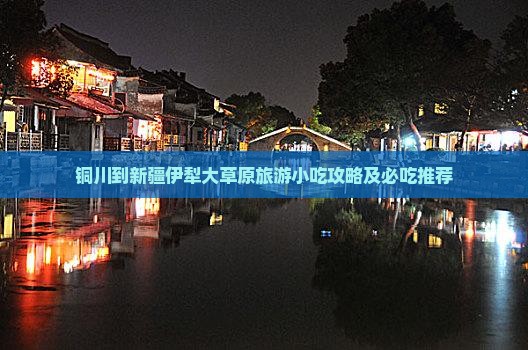 铜川到新疆伊犁大草原旅游小吃