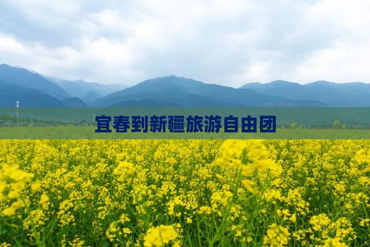 宜春到新疆自由团