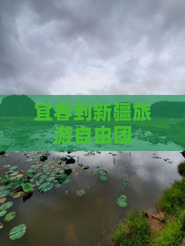 宜春到新疆自由团