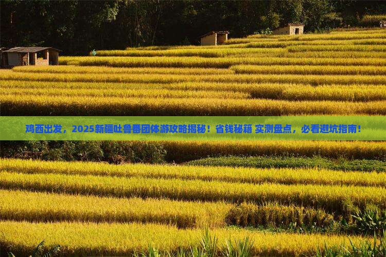 鸡西到新疆吐鲁番团体旅游