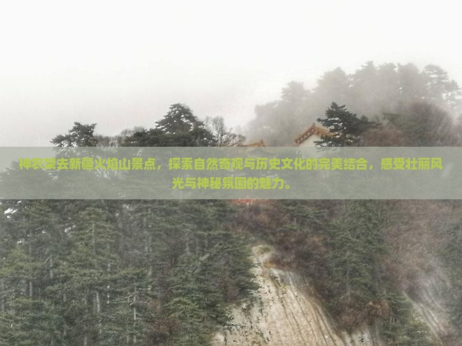 神农架去新疆火焰山景点