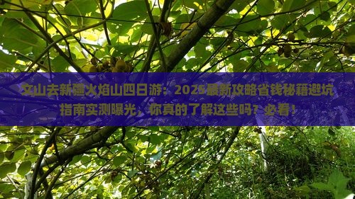 文山去新疆火焰山四日游