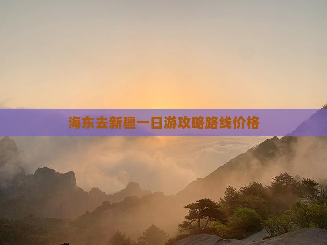 海东去新疆一日