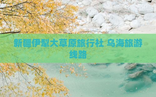 乌海去新疆伊犁大草原旅行社