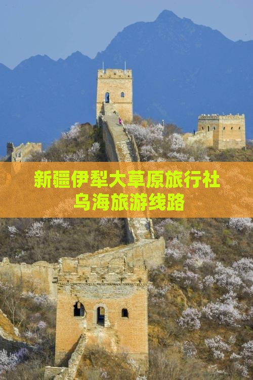 乌海去新疆伊犁大草原旅行社
