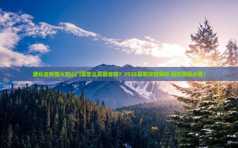 通化去新疆火焰山门票