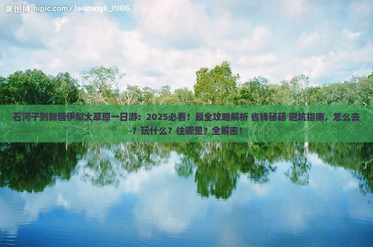 石河子到新疆伊犁大草原一日