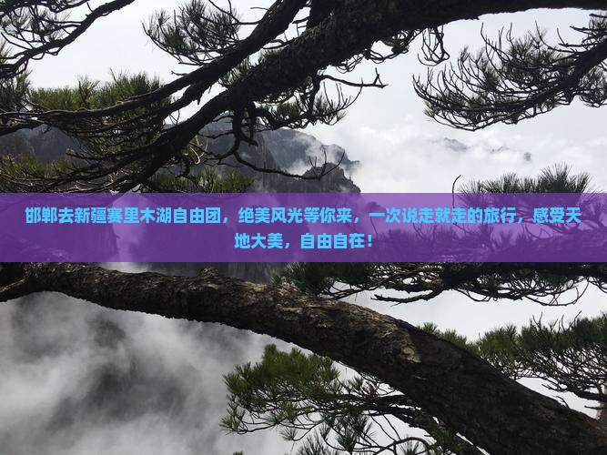 邯郸去新疆赛里木湖自由团