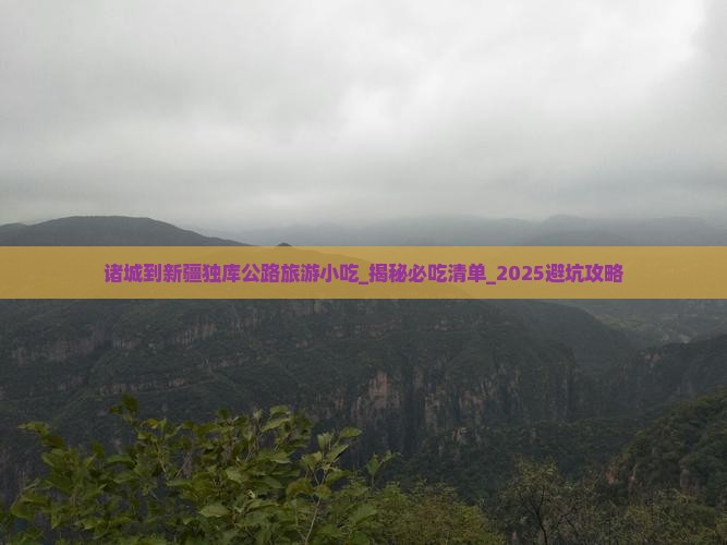 诸城到新疆独库公路旅游小吃