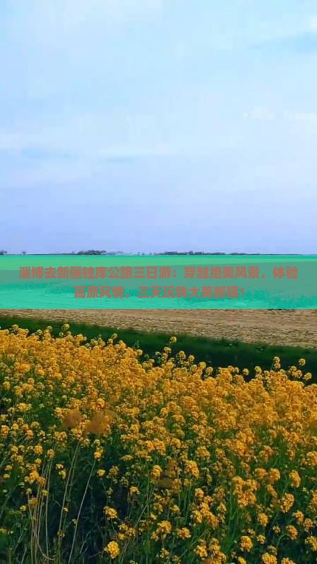 淄博去新疆独库公路三日游
