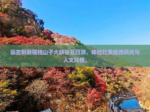 崇左到新疆独山子大峡谷五日游