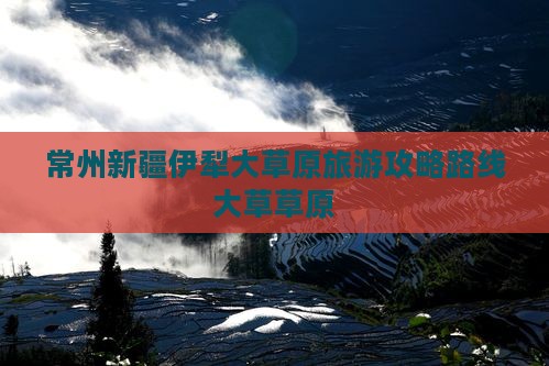 常州到新疆伊犁大草原旅游