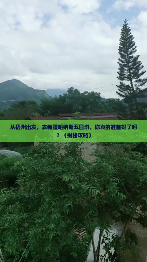 梧州去新疆喀纳斯五日游