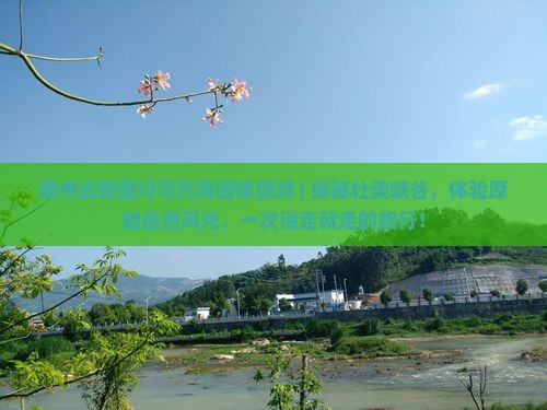 惠州去新疆可可托海团体旅游