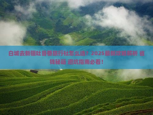 白城去新疆吐鲁番旅行社