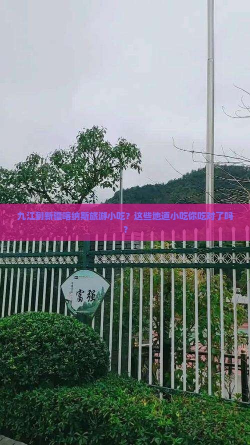 九江到新疆喀纳斯旅游小吃