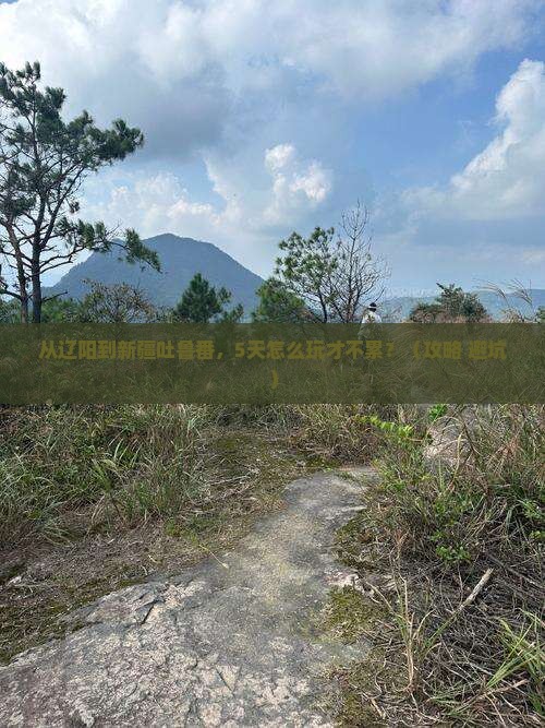 辽阳去新疆吐鲁番哪里玩