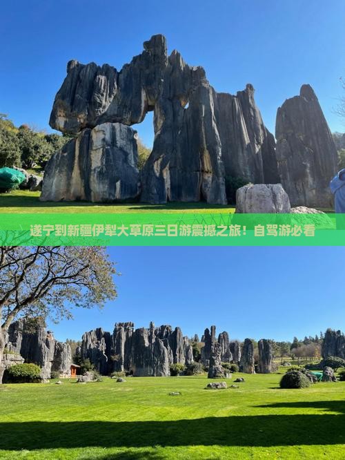 遂宁到新疆伊犁大草原三日游