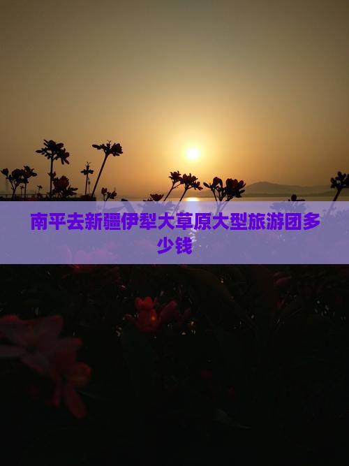 南平去新疆伊犁大草原大型旅游团