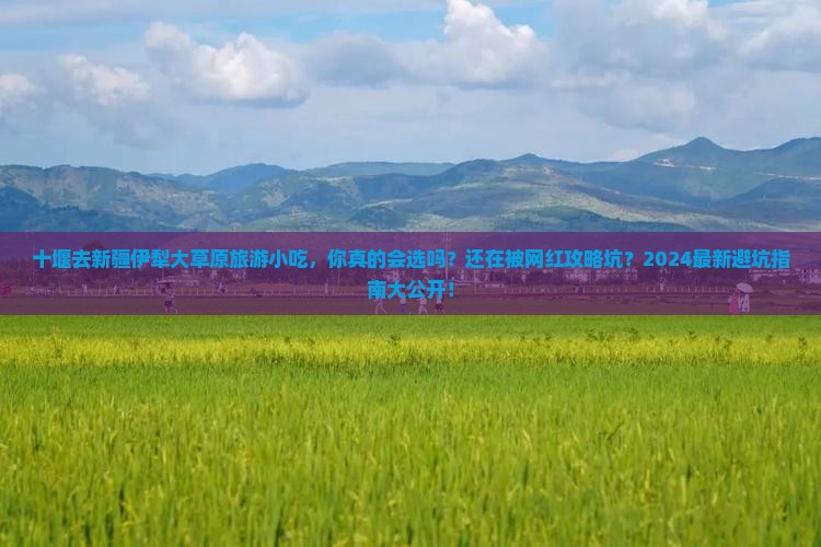 十堰去新疆伊犁大草原旅游小吃
