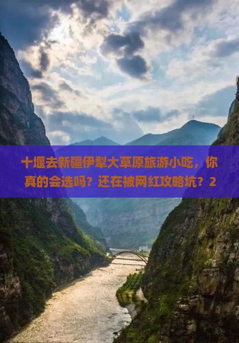 十堰去新疆伊犁大草原旅游小吃