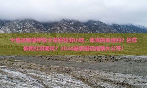 十堰去新疆伊犁大草原旅游小吃