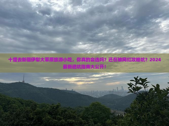 十堰去新疆伊犁大草原旅游小吃