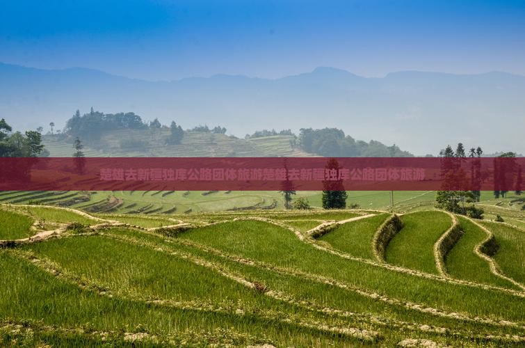 楚雄去新疆独库公路团体旅游