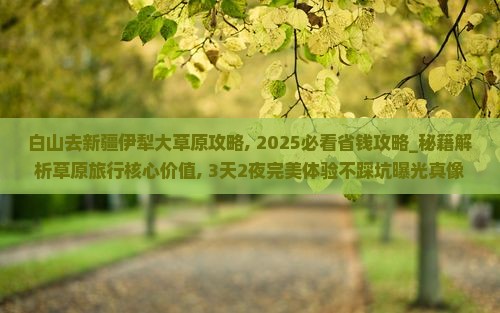 白山去新疆伊犁大草原攻略