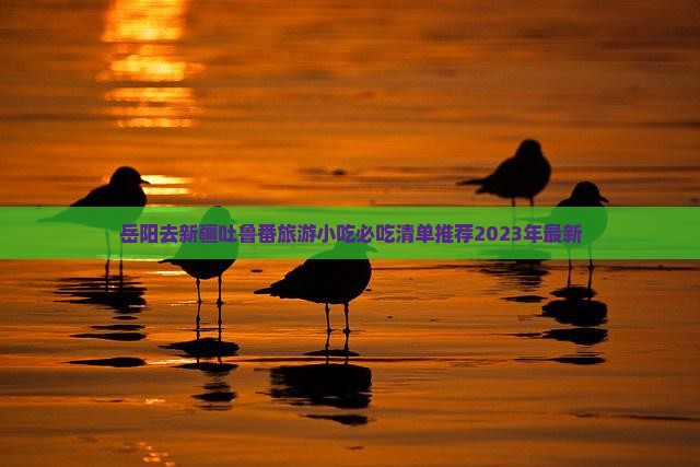 岳阳去新疆吐鲁番旅游小吃