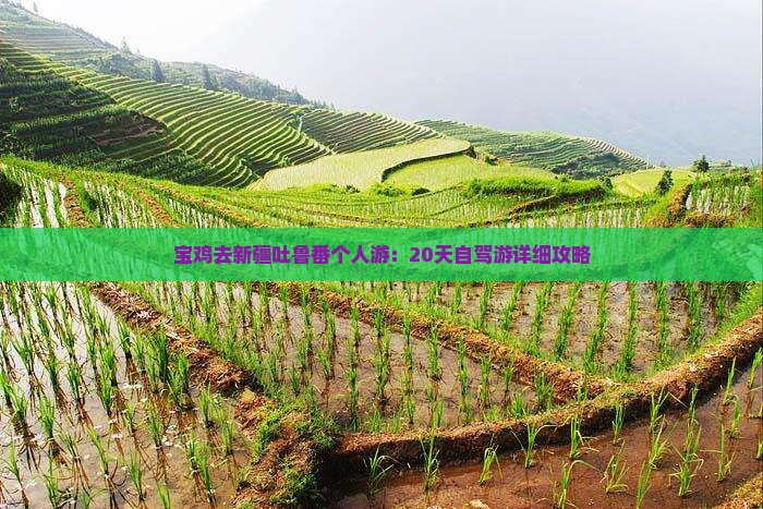宝鸡去新疆吐鲁番个人游