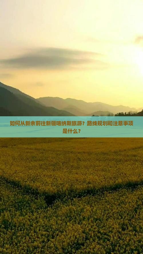 新余到新疆喀纳斯旅游
