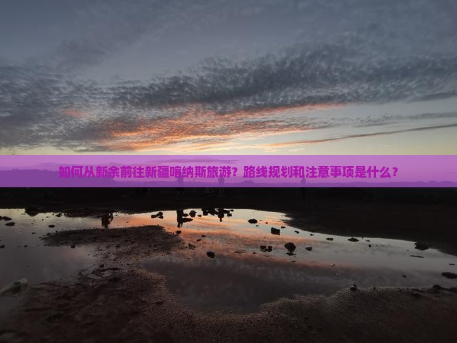 新余到新疆喀纳斯旅游