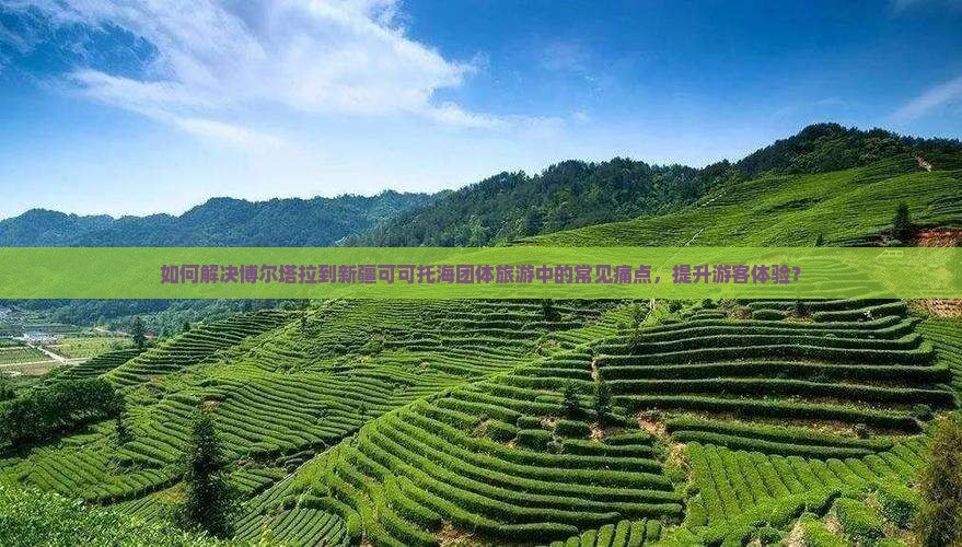 博尔塔拉到新疆可可托海团体旅游