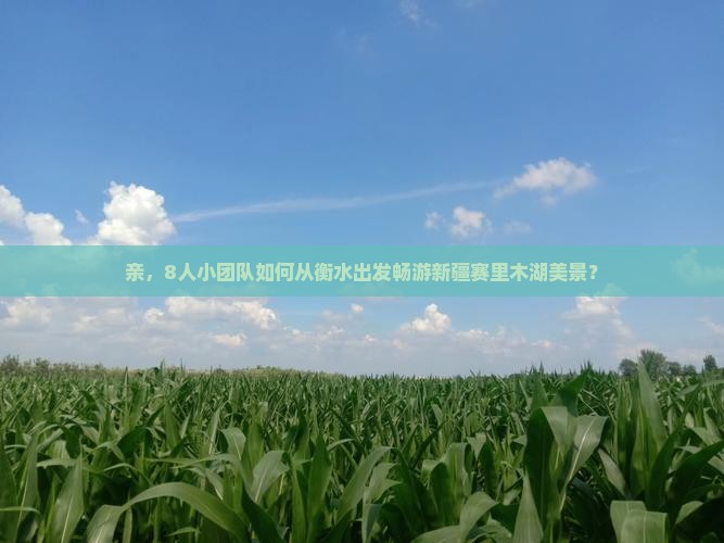 衡水到新疆赛里木湖团体旅游