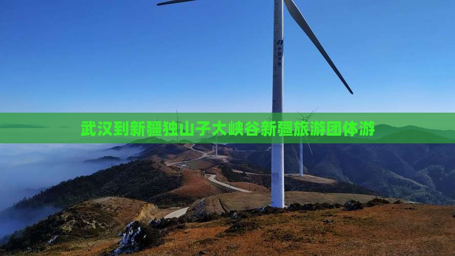 武汉到新疆独山子大峡谷团体旅游