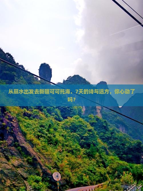 丽水到新疆可可托海七日游