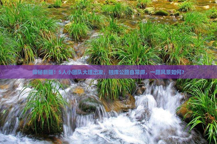 大理去新疆独库公路团体旅游