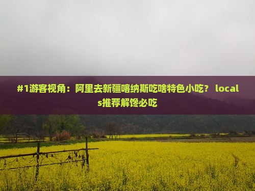 阿里去新疆喀纳斯旅游小吃