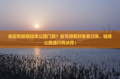 德宏到新疆独库公路门票