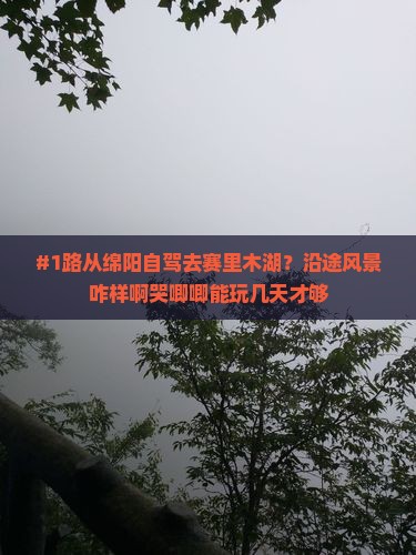 绵阳到新疆赛里木湖自由行