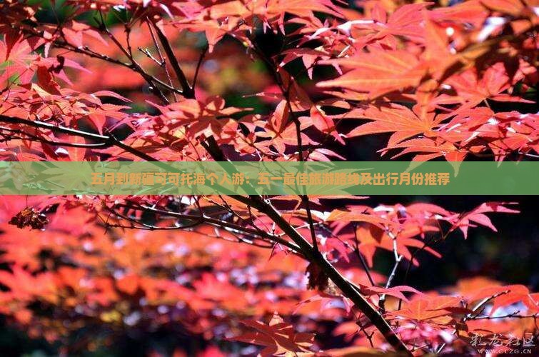 五月到新疆可可托海个人游