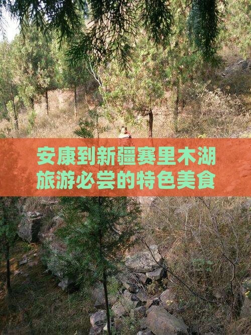 安康到新疆赛里木湖旅游小吃