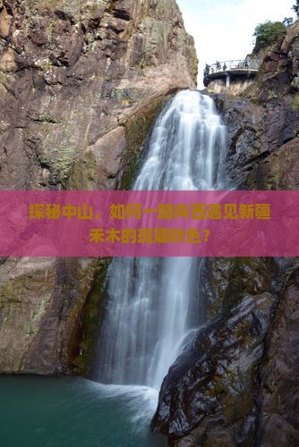 中山去新疆禾木旅游