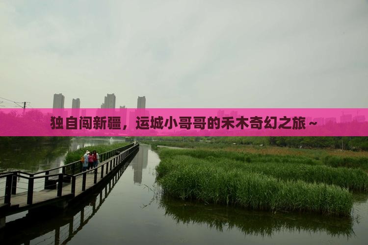 运城去新疆禾木个人游