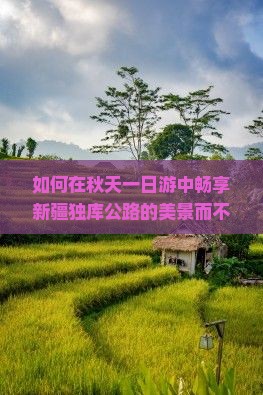 秋天去新疆独库公路一日
